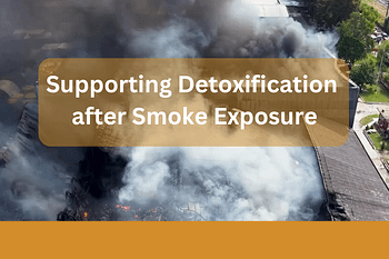 Warehouse Fire Smoke Exposure: 5 Ways to Support Detoxification and Lung Health