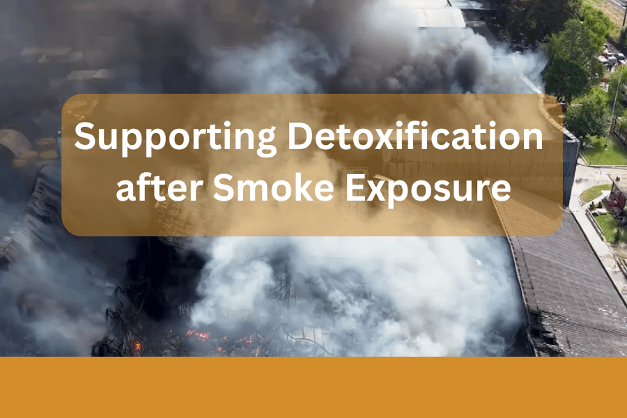 Warehouse Fire Smoke Exposure: 5 Ways to Support Detoxification and Lung Health